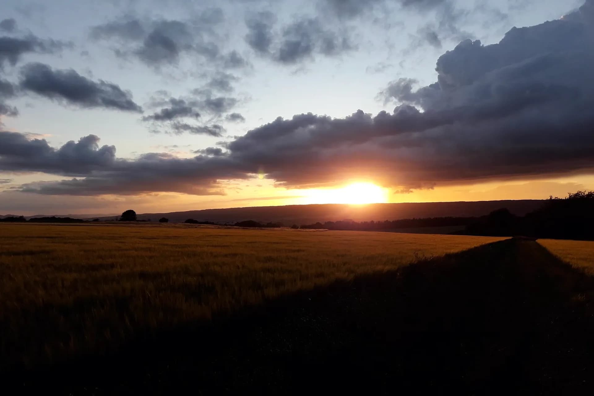 Camping in Köln und Umgebung
